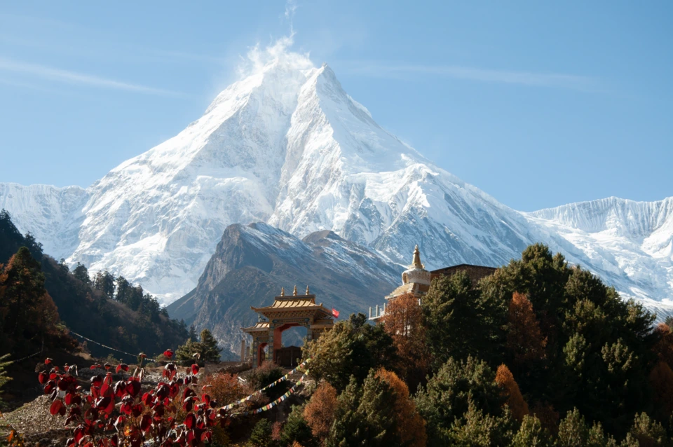 Wildlife on the Manaslu Trek: Animals You May See Along the Trail