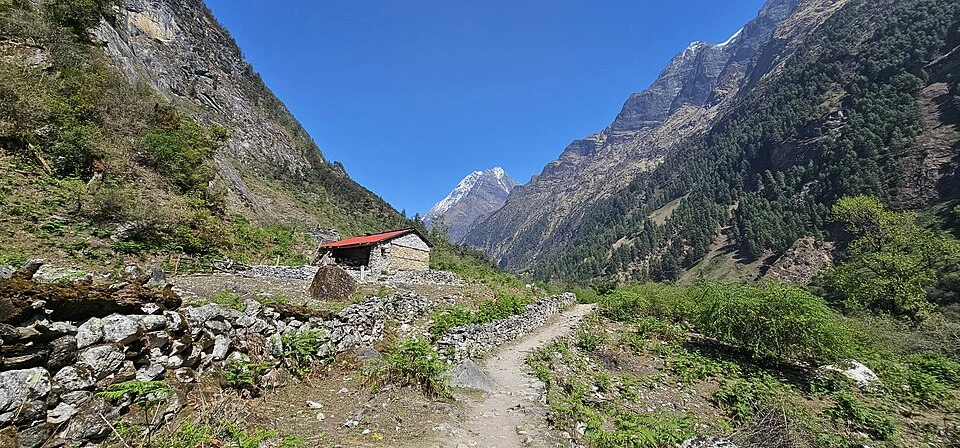 Manaslu Trek on Any Budget: What $700–$1,500 Actually Gets You