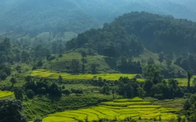 Manaslu Biodiversity | Exploring Nepal’s Hidden Wildlife