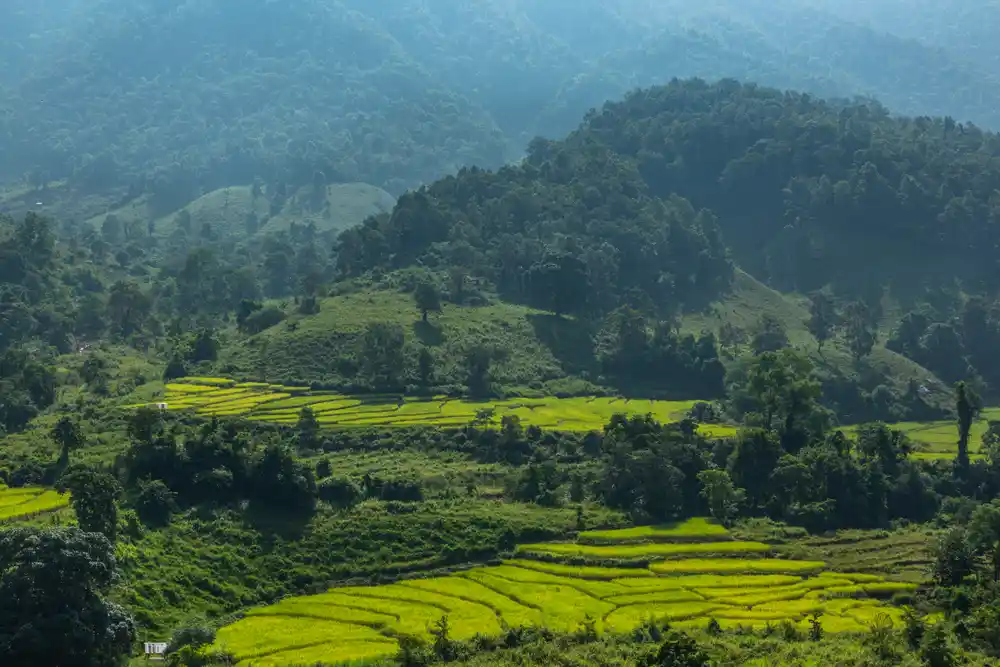 Manaslu Biodiversity | Exploring Nepal’s Hidden Wildlife